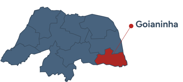 Imagem de goianinha